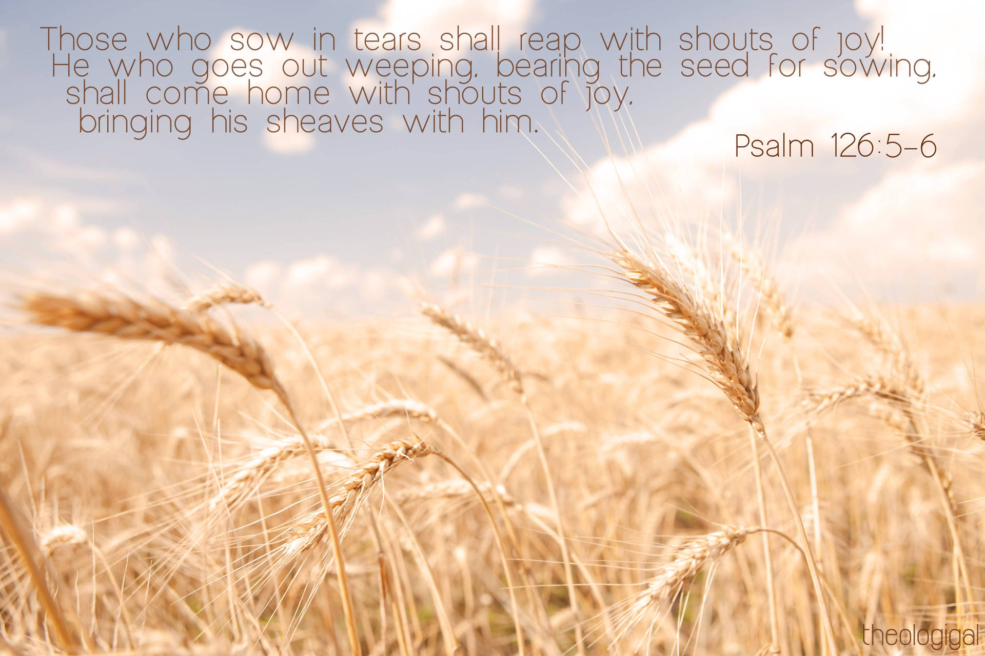 5616X3744 Bible Verse Wallpaper and Background