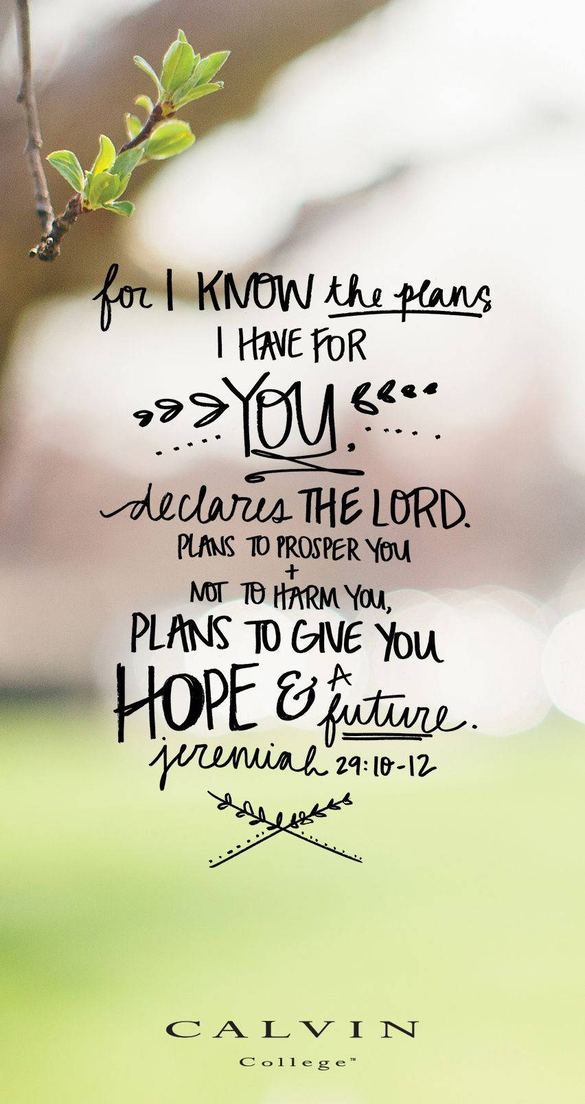 852X1608 Bible Verse Wallpaper and Background