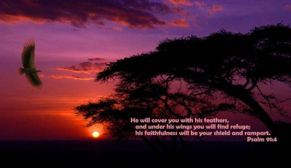 Bible Verse 950X550 Wallpaper and Background Image