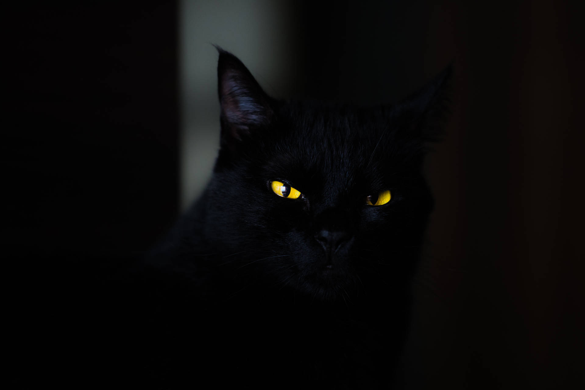 Black 5472X3648 wallpaper