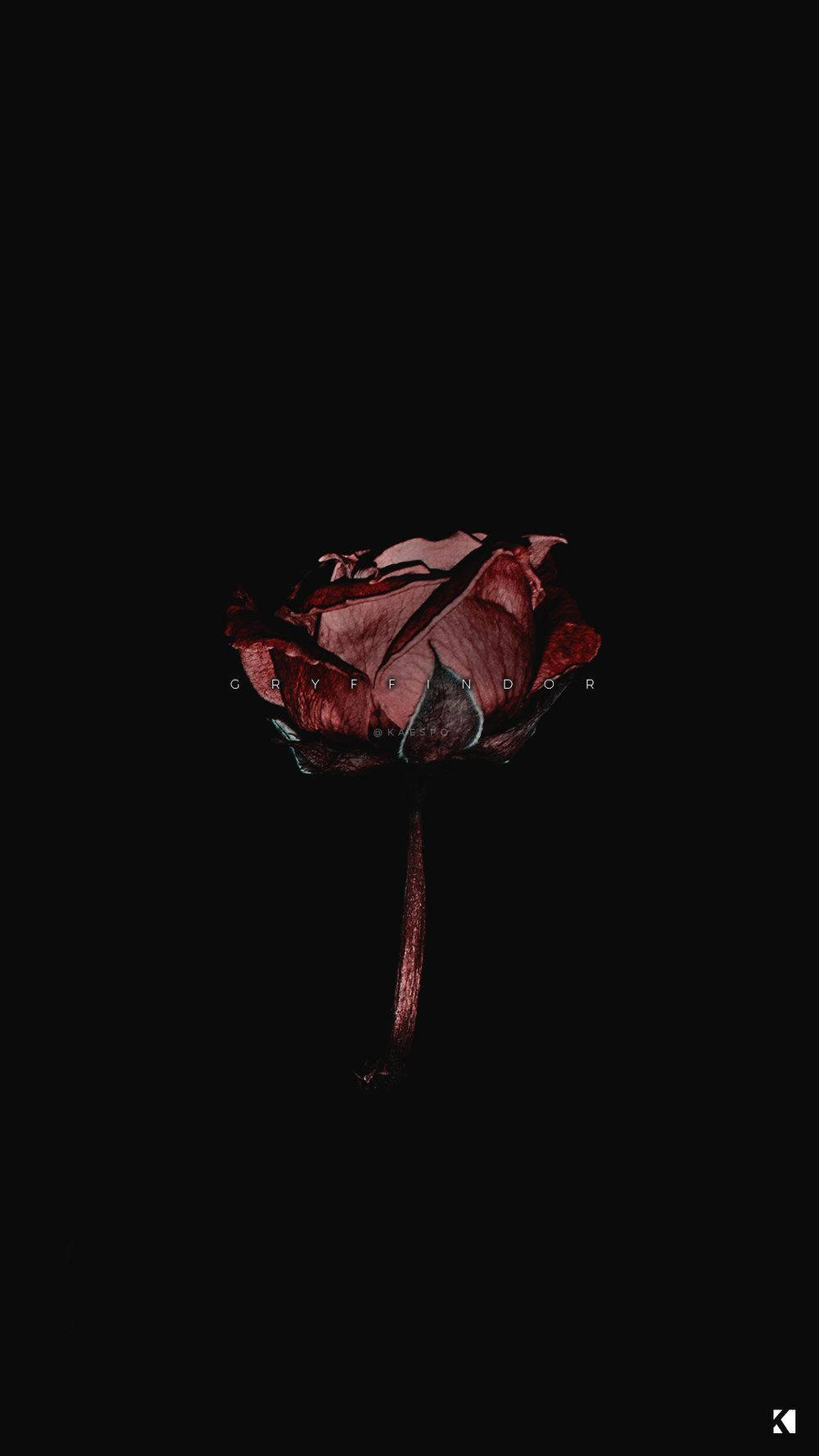 1000X1778 Black Aesthetic Wallpaper and Background