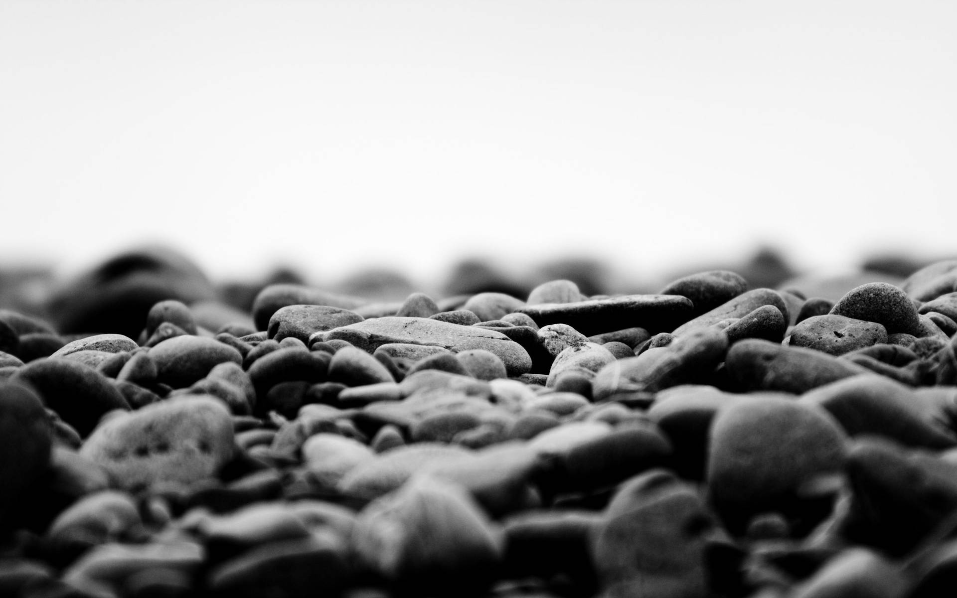 Black And White 2560X1600 Wallpaper and Background Image