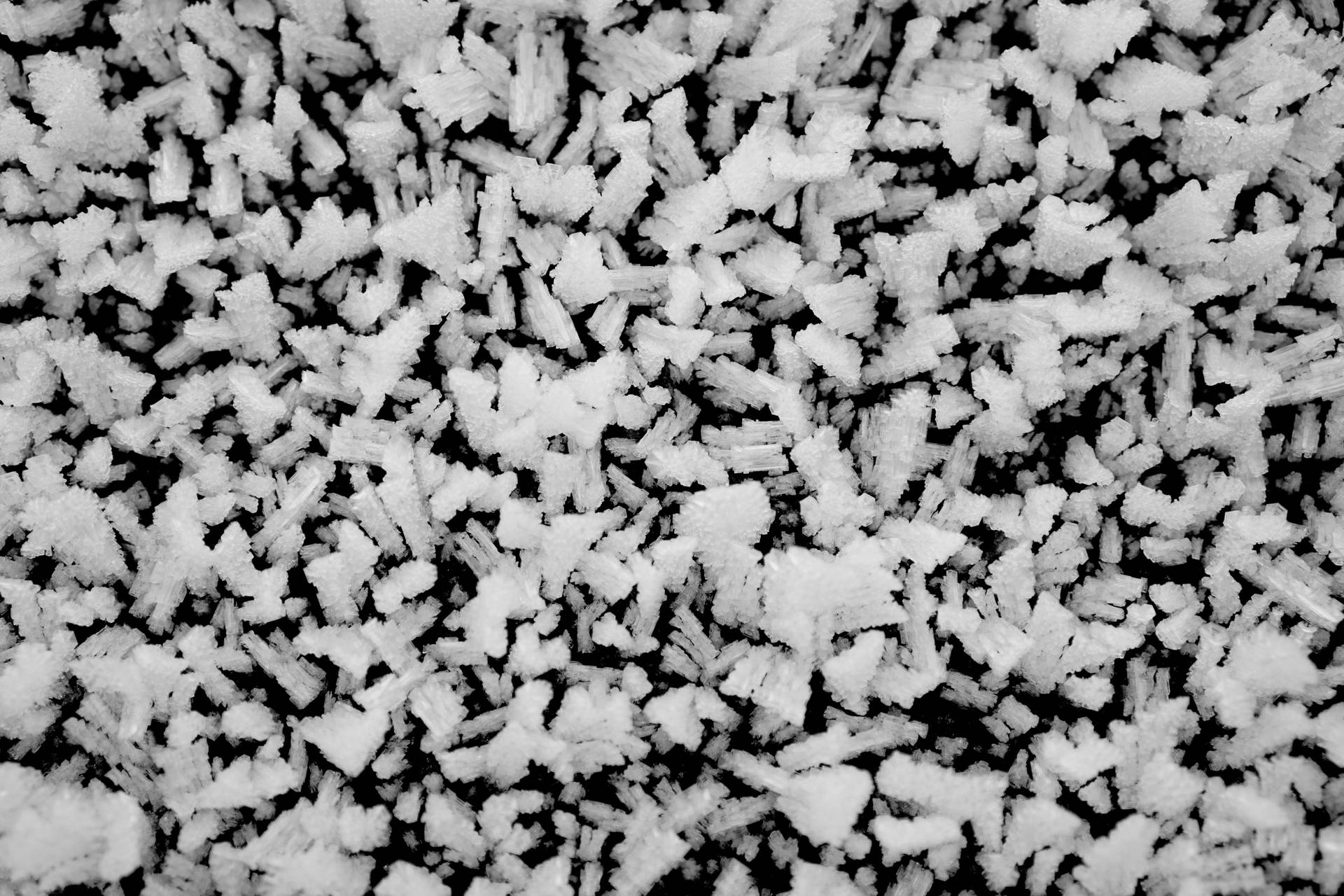 Black And White 6000X4000 Wallpaper and Background Image