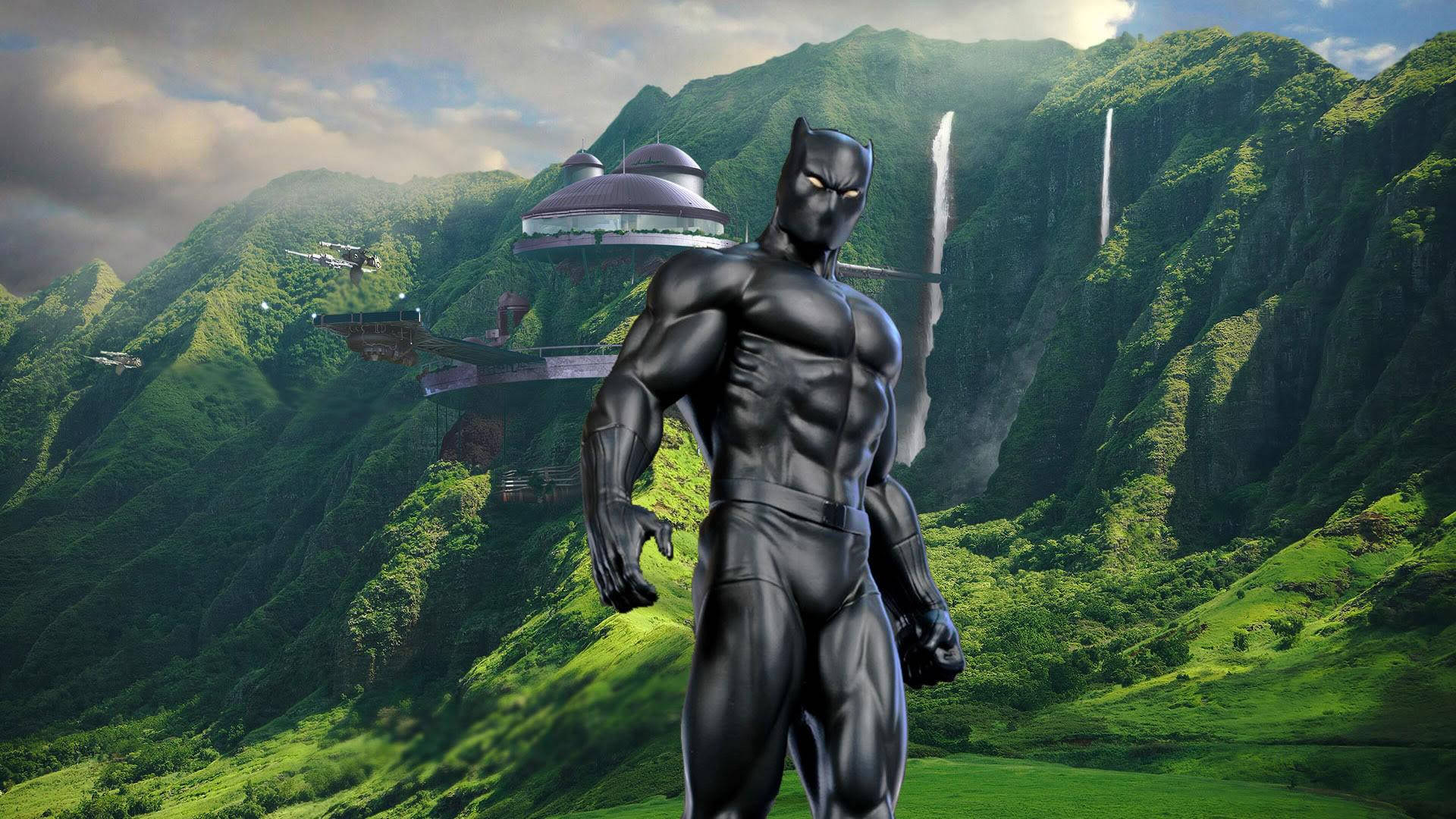 Black Panther 1920X1080 Wallpaper and Background Image