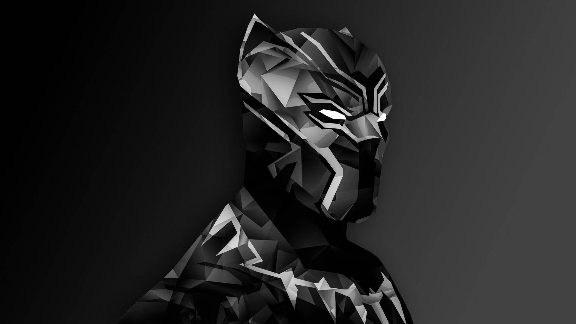 Black Panther 2560X1440 wallpaper
