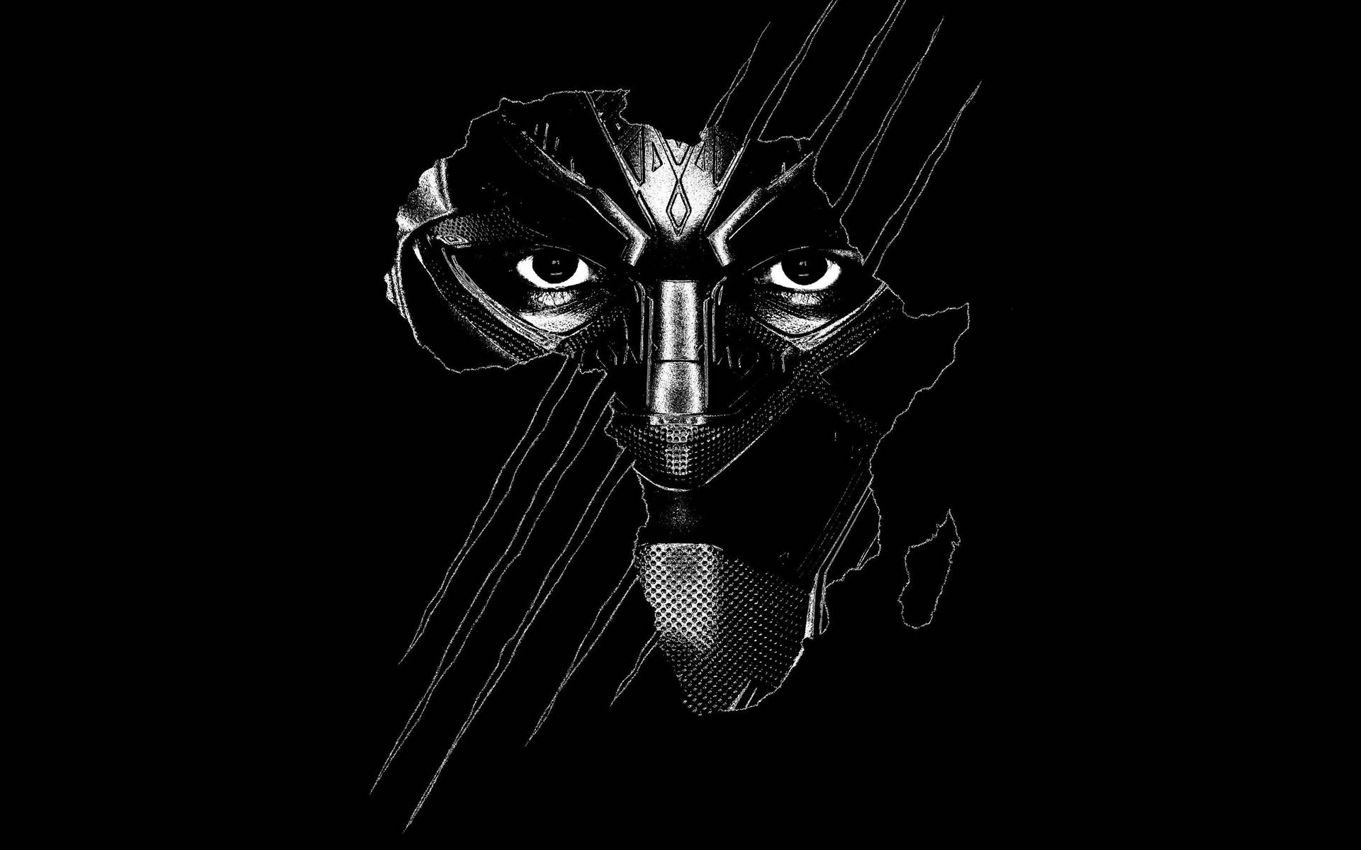 Black Panther 2880X1800 Wallpaper and Background Image