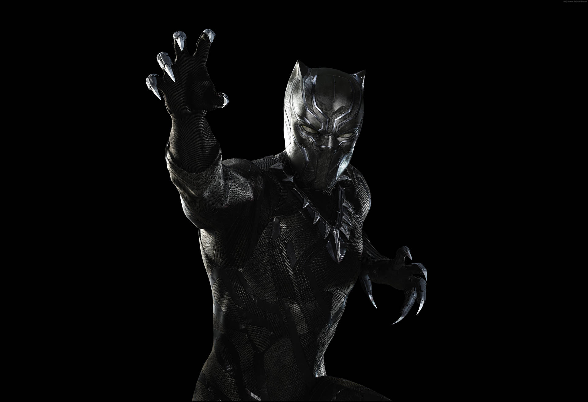 Black Panther 5782X3952 Wallpaper and Background Image