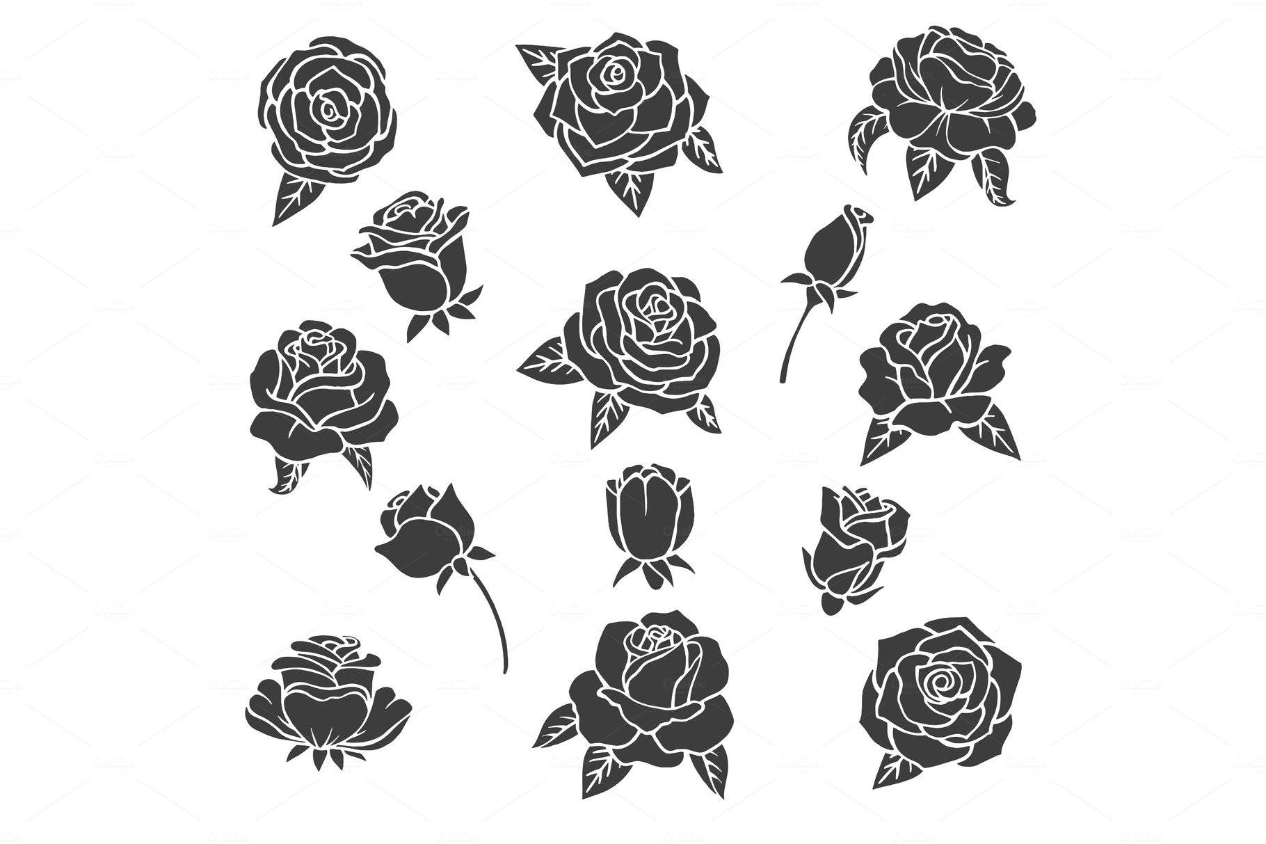 1820X1213 Black Rose Wallpaper and Background
