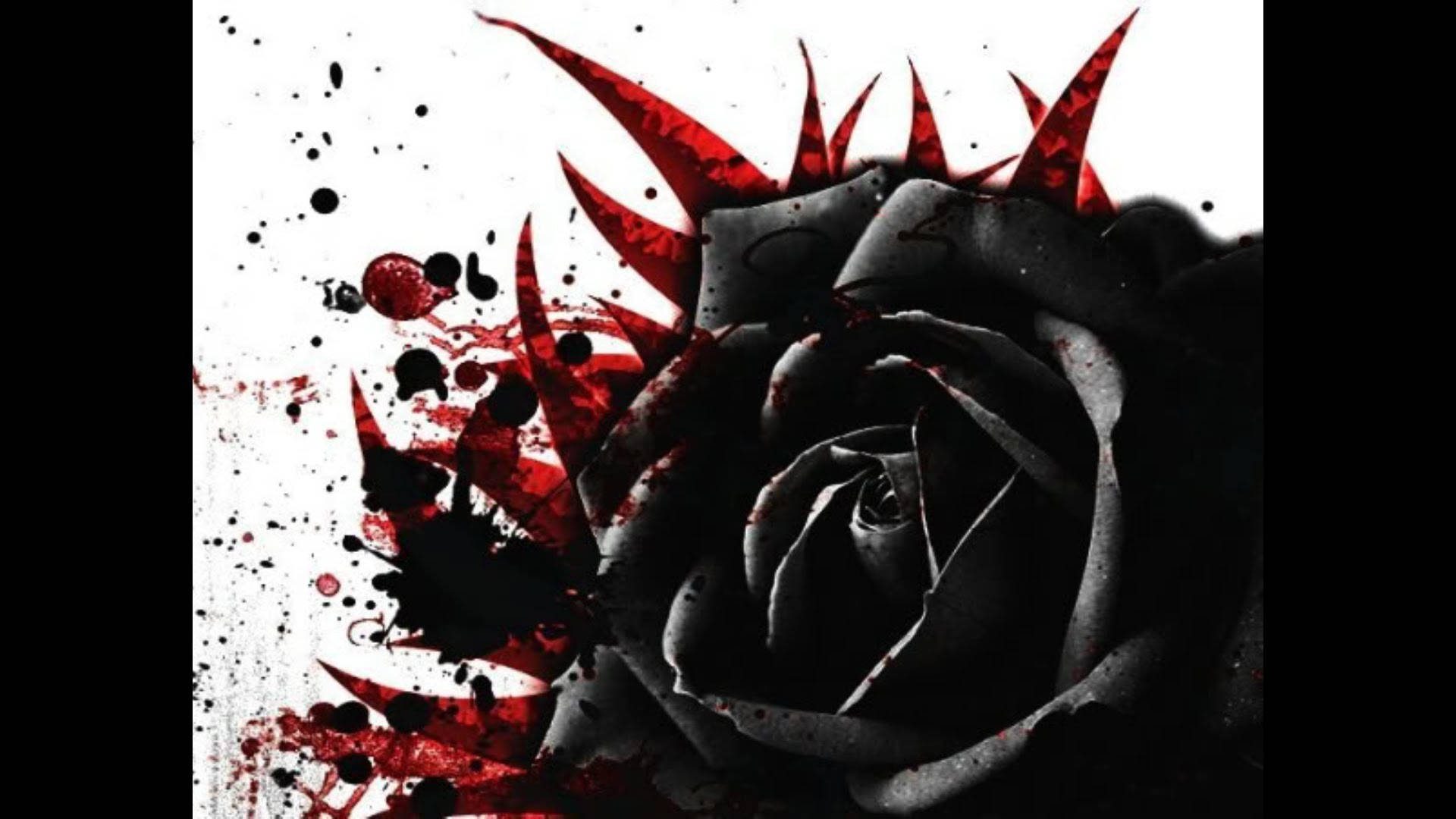 1920X1080 Black Rose Wallpaper and Background