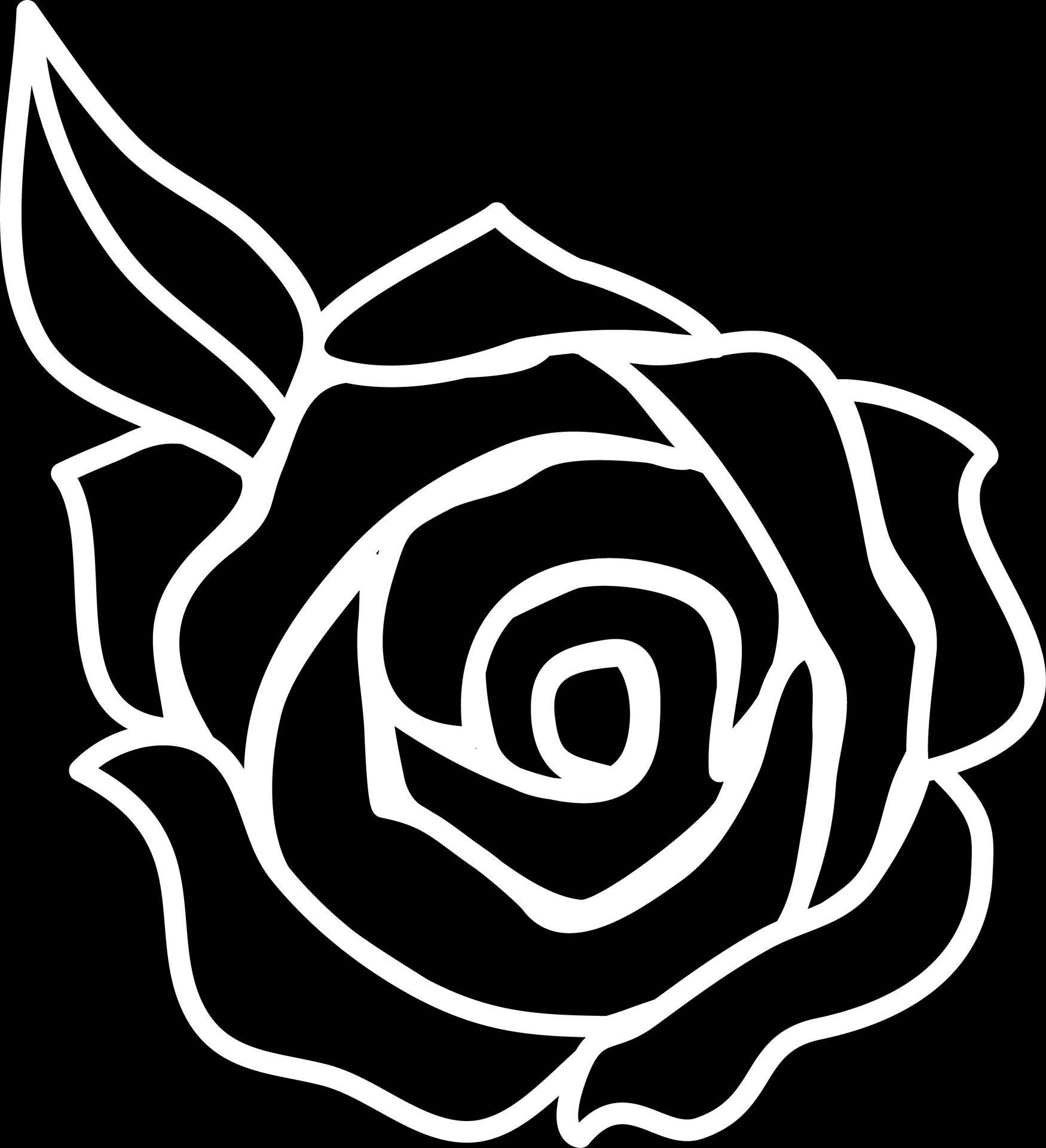 4042X4434 Black Rose Wallpaper and Background