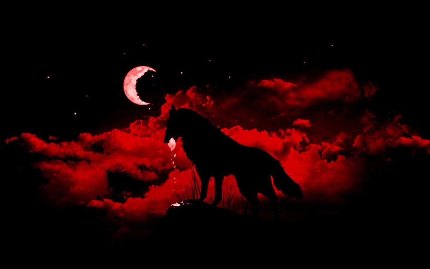 1440X900 Black Wolf Wallpaper and Background