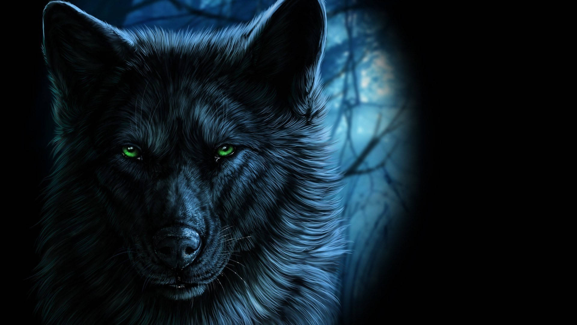 1920X1080 Black Wolf Wallpaper and Background