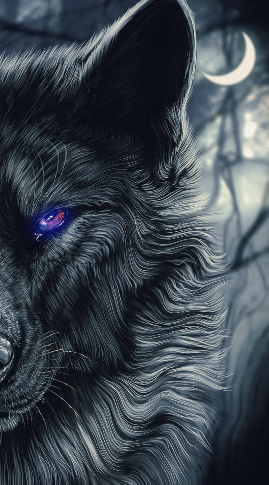 2500X4500 Black Wolf Wallpaper and Background