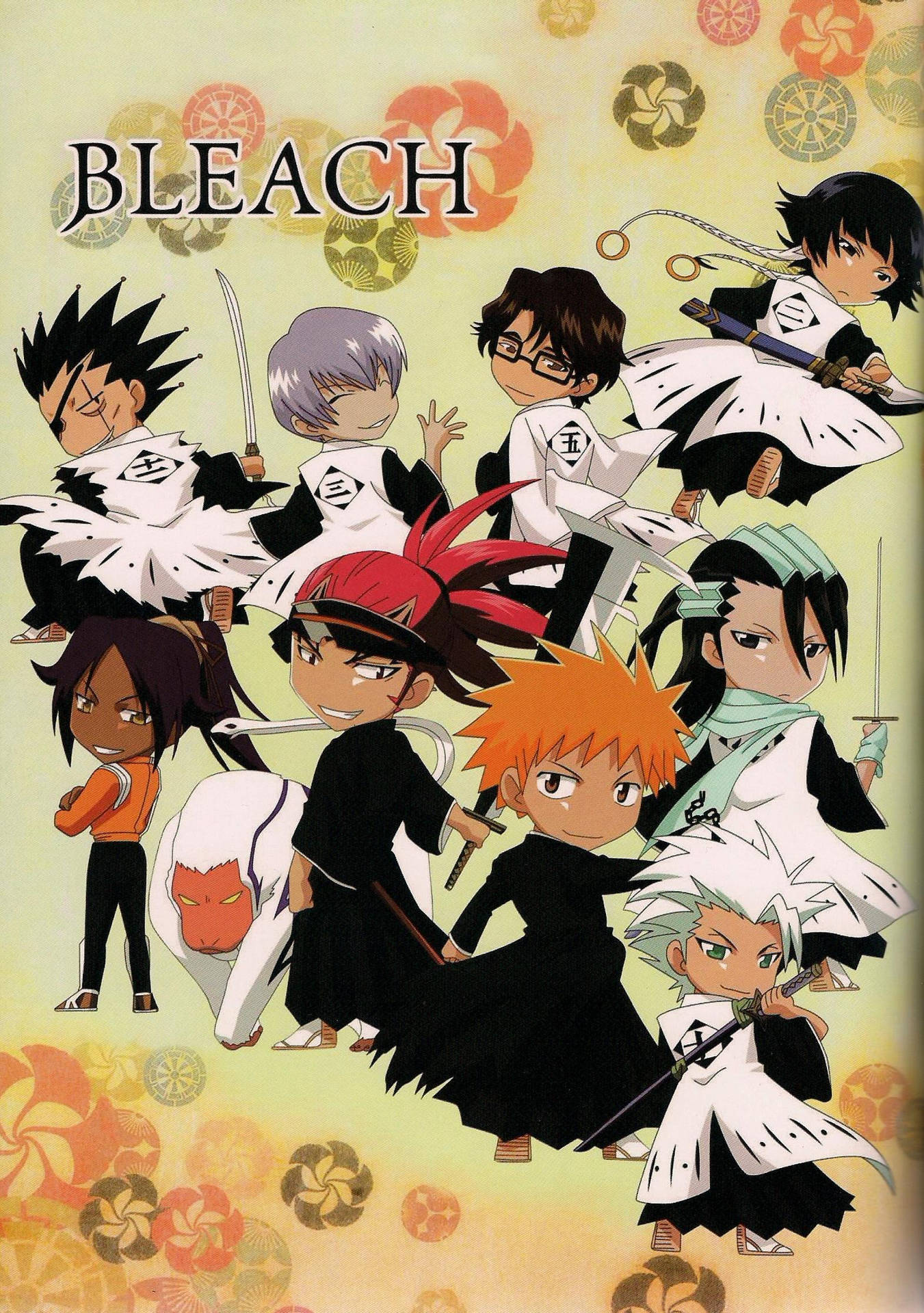 Bleach 1569X2229 Wallpaper and Background Image