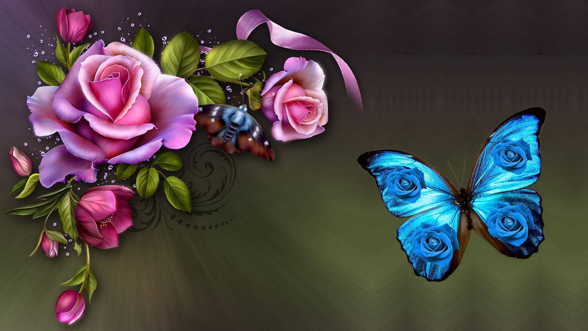 Blue Butterfly 1920X1080 Wallpaper and Background Image
