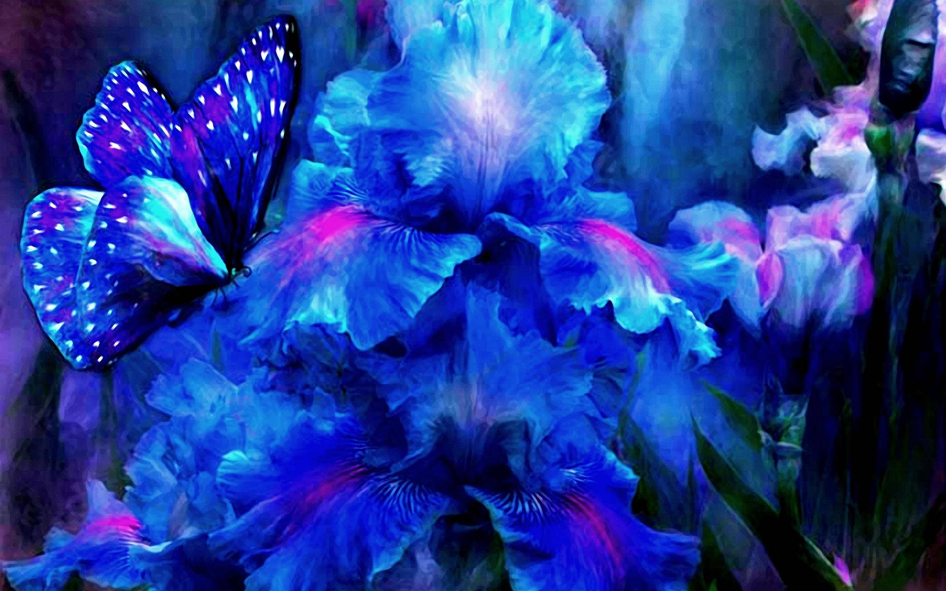 Blue Butterfly 1920X1200 Wallpaper and Background Image