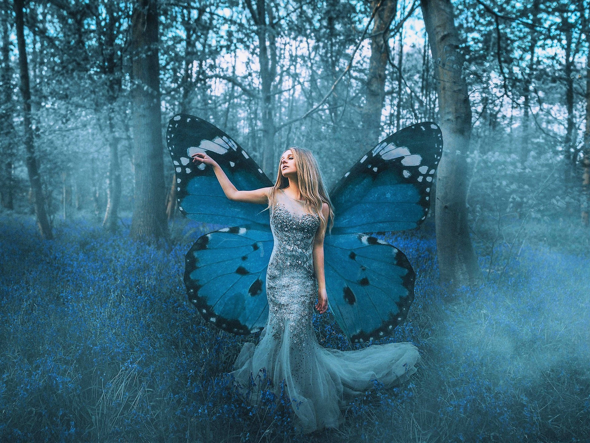 1920X1440 Blue Butterfly Wallpaper and Background