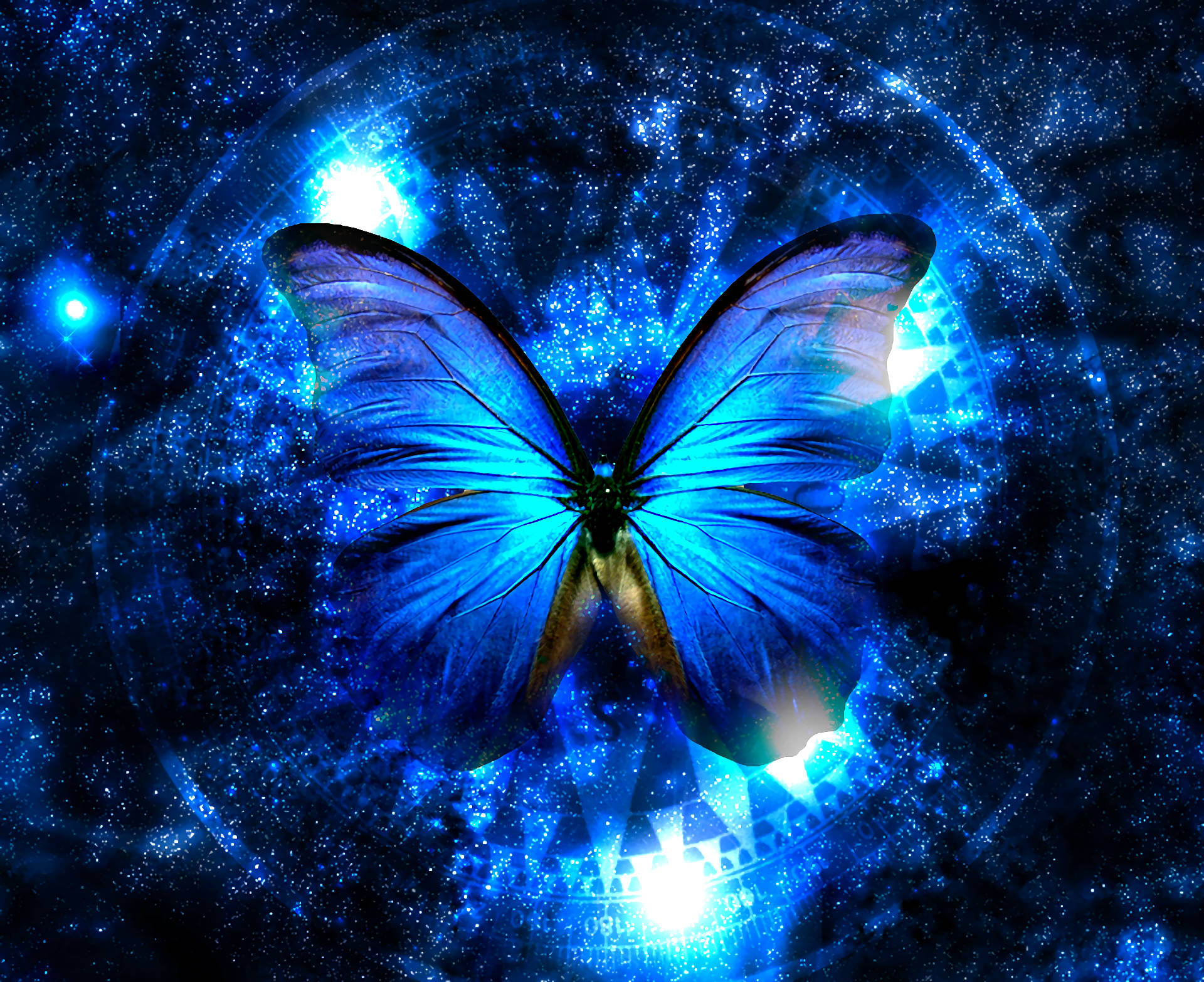 1920X1566 Blue Butterfly Wallpaper and Background