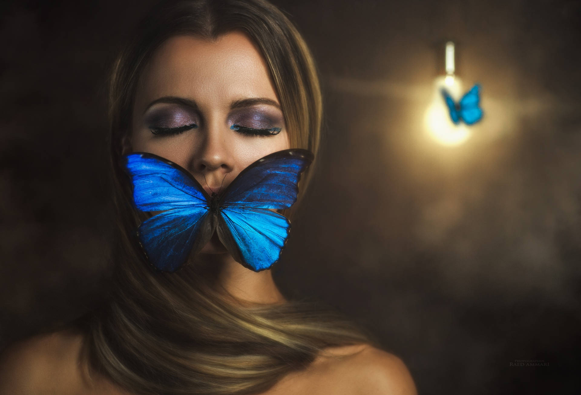2560X1743 Blue Butterfly Wallpaper and Background