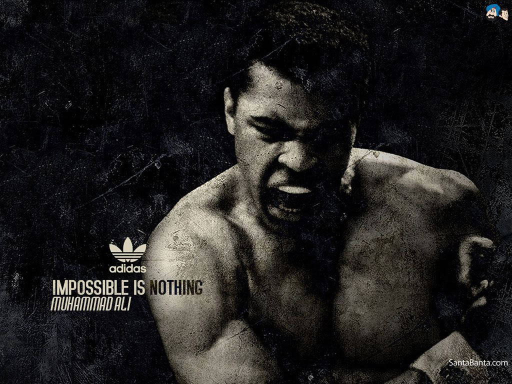 1024X768 Boxing Wallpaper and Background