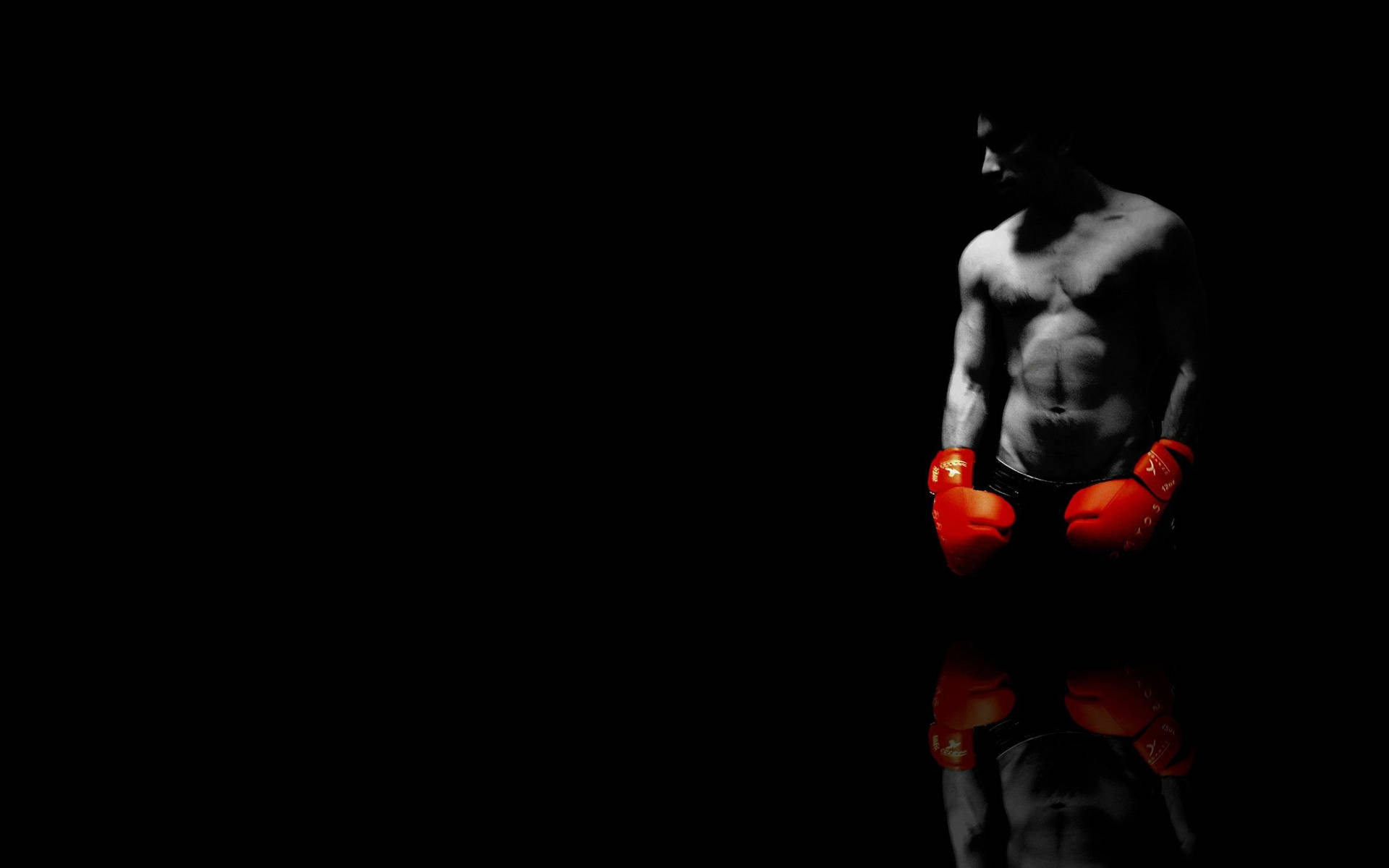 Boxing 2500X1562 Wallpaper and Background Image