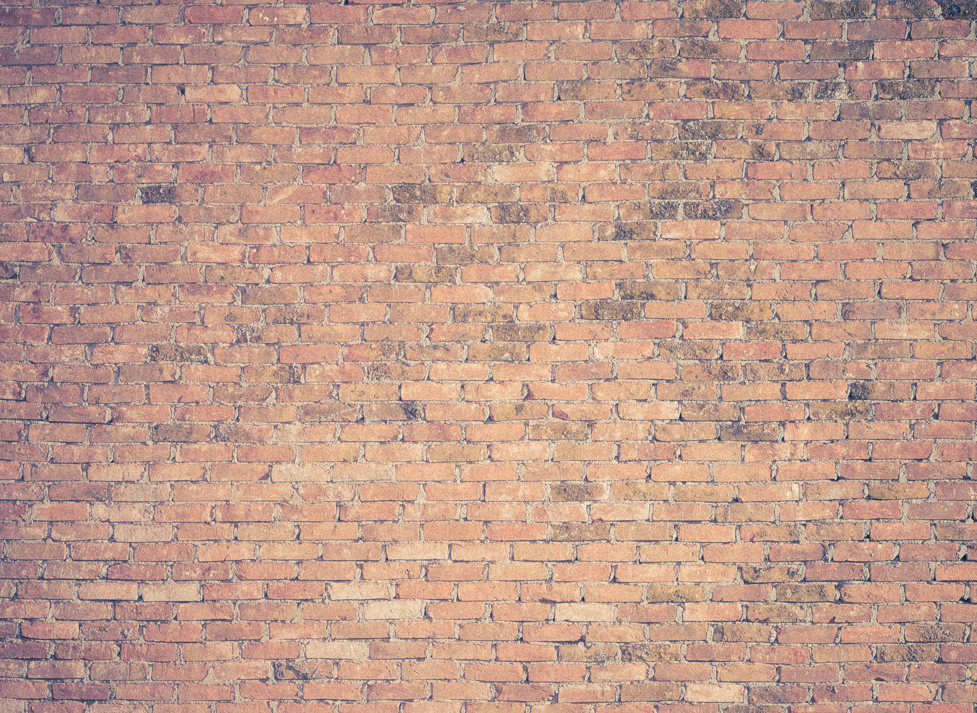Brick 3239X2364 wallpaper
