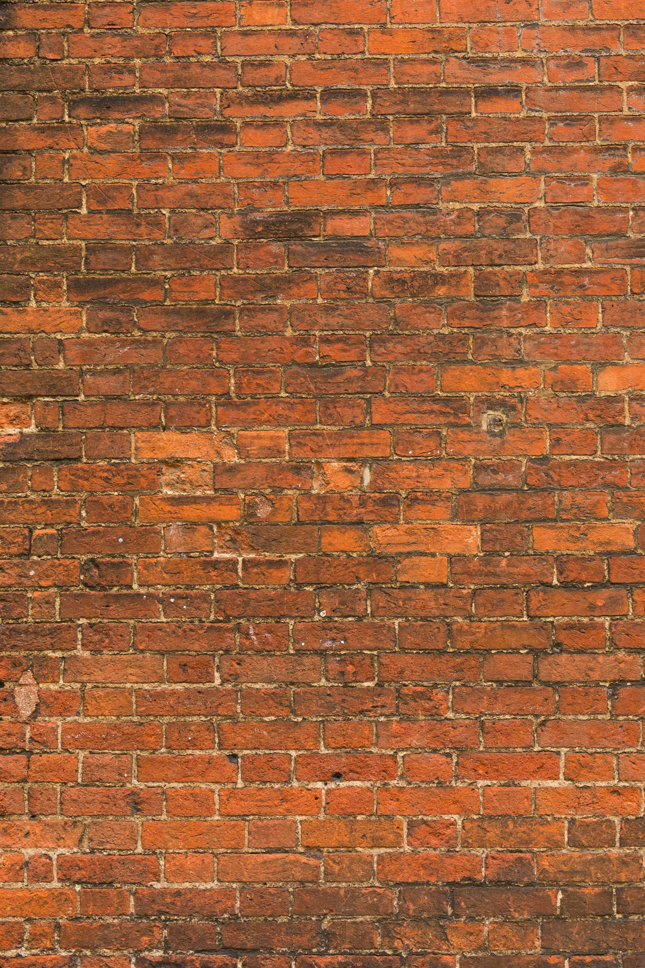 Brick 3333X5000 Wallpaper and Background Image