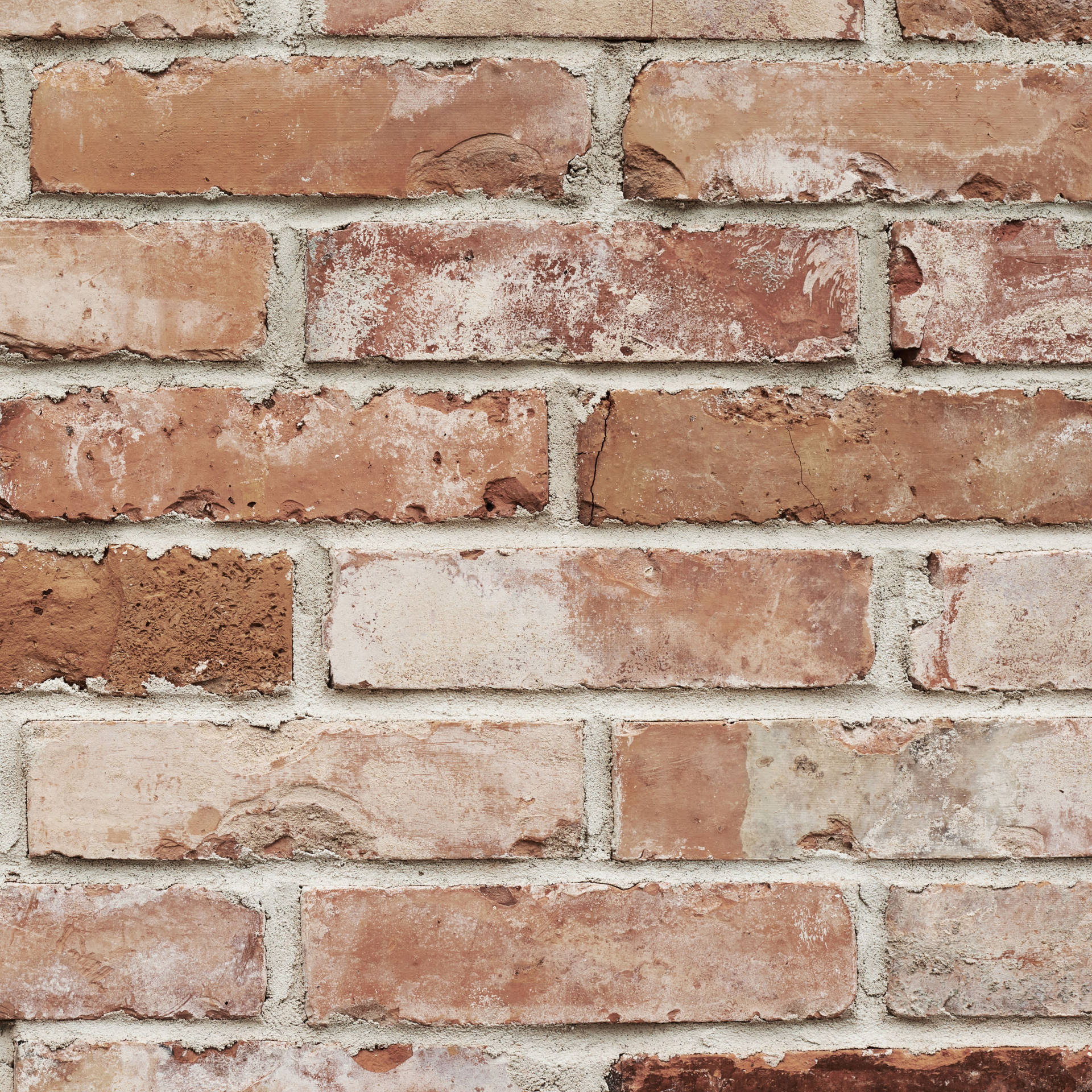 Brick 4000X4000 Wallpaper and Background Image