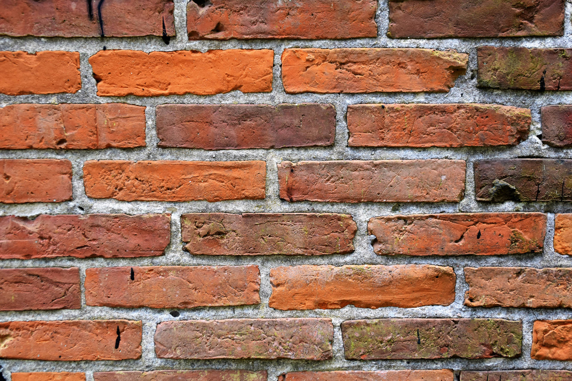 Brick 6000X4000 Wallpaper and Background Image
