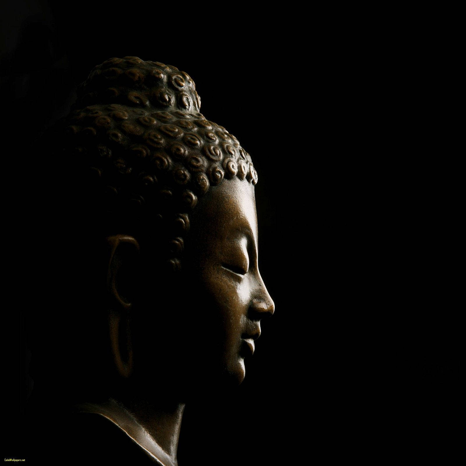 Buddha 1600X1600 Wallpaper and Background Image