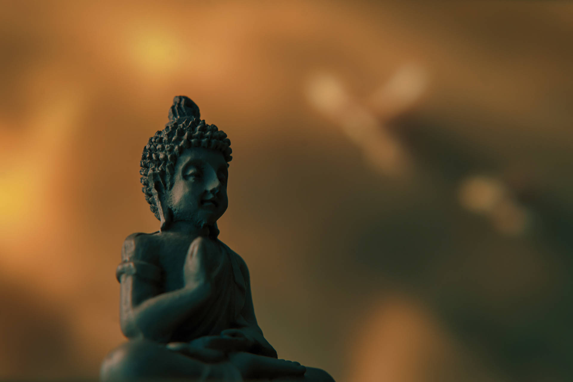 Buddha 6000X4000 Wallpaper and Background Image