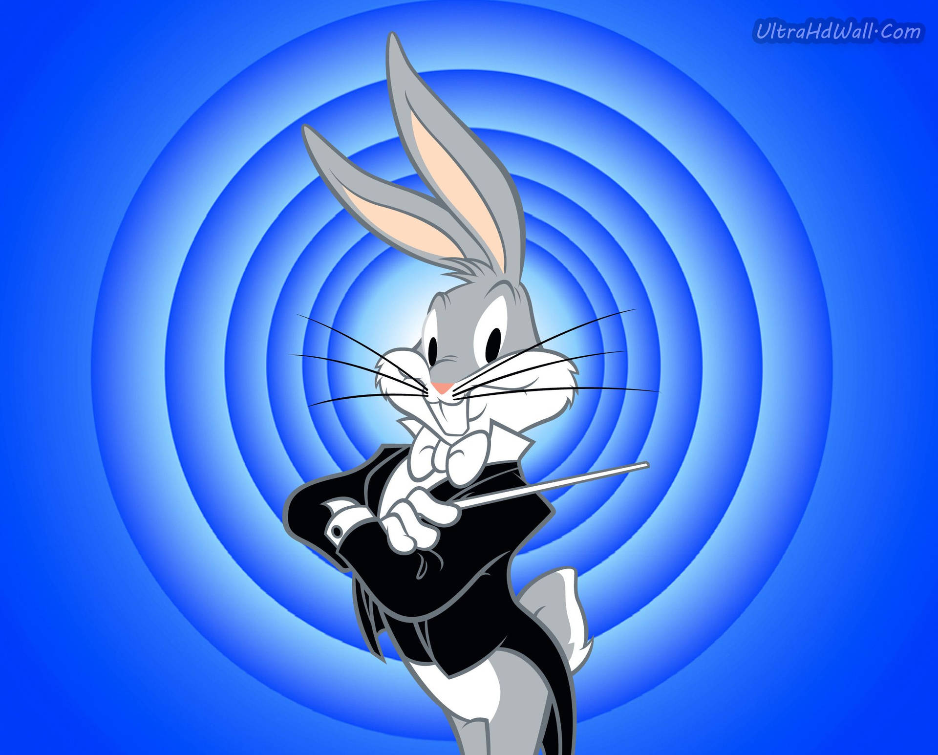 2241X1803 Bugs Bunny Wallpaper and Background