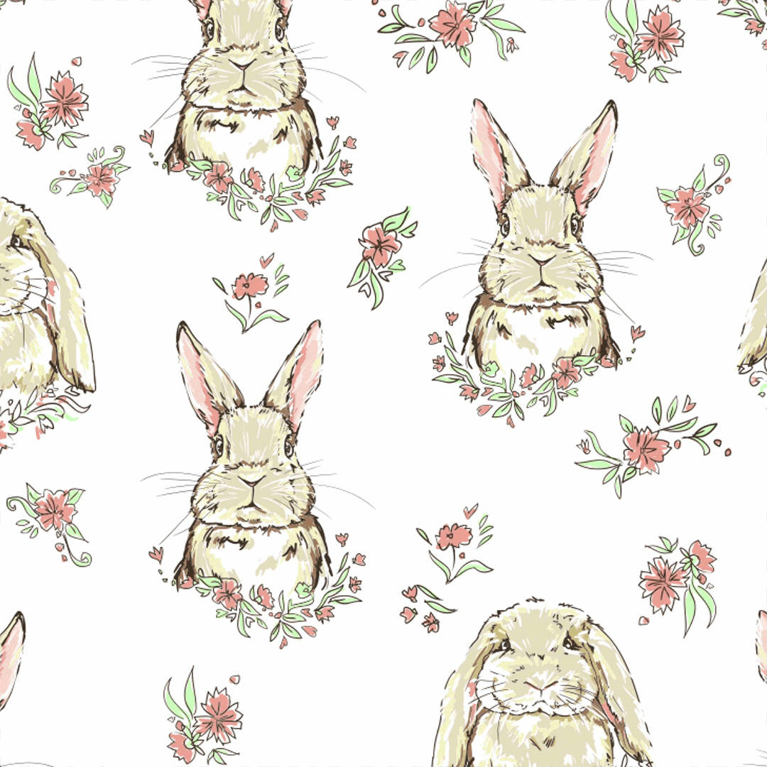 1080X1080 Bunny Wallpaper and Background