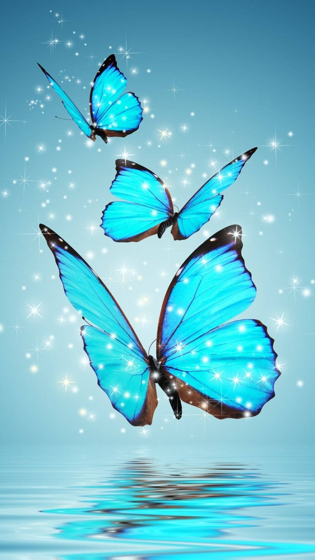 Butterfly 1080X1920 Wallpaper and Background Image
