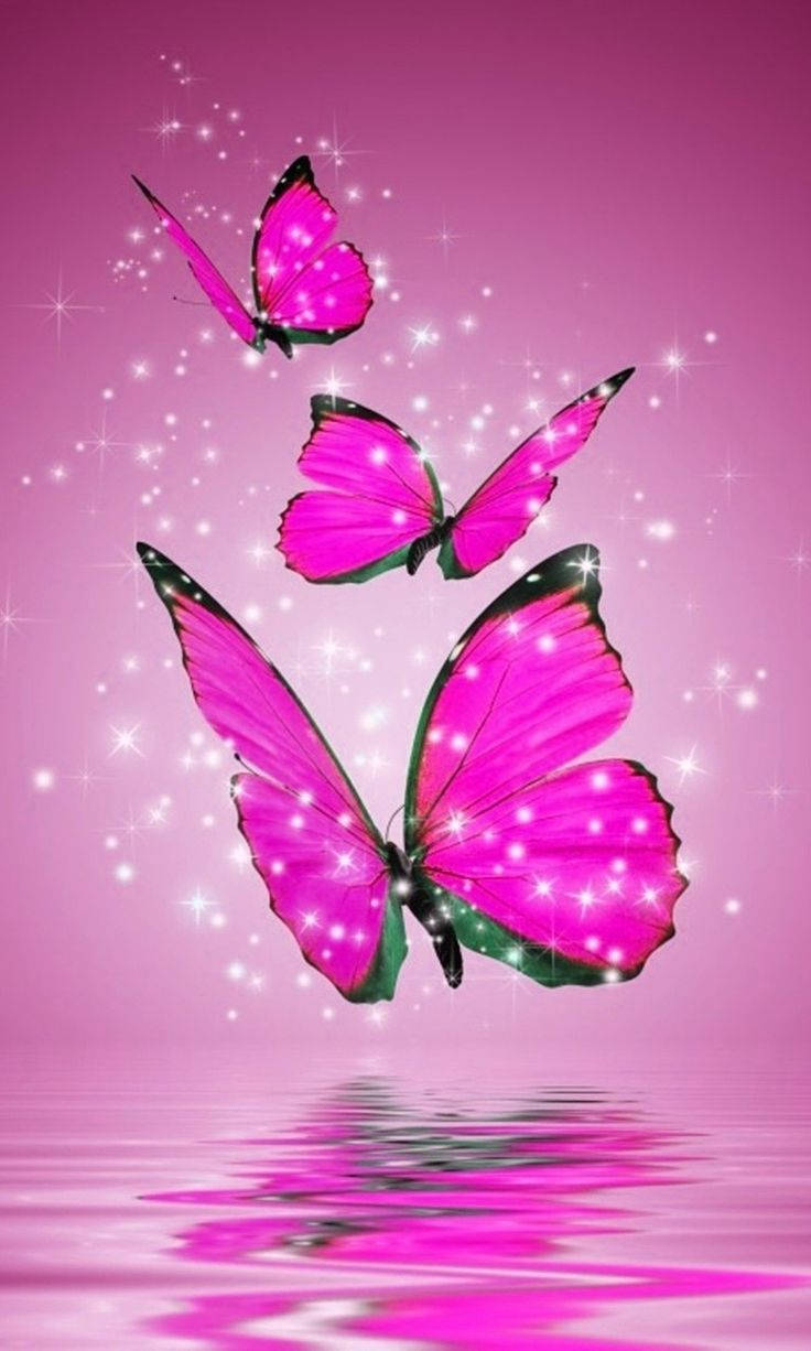 736X1226 Butterfly Wallpaper and Background