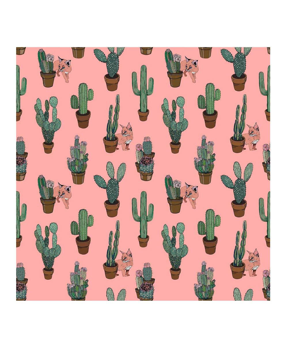 1000X1207 Cactus Wallpaper and Background