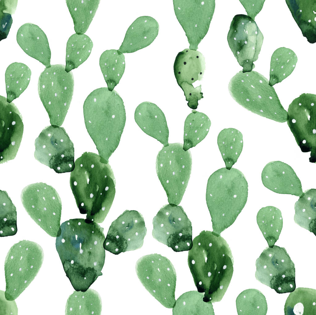 1024X1023 Cactus Wallpaper and Background