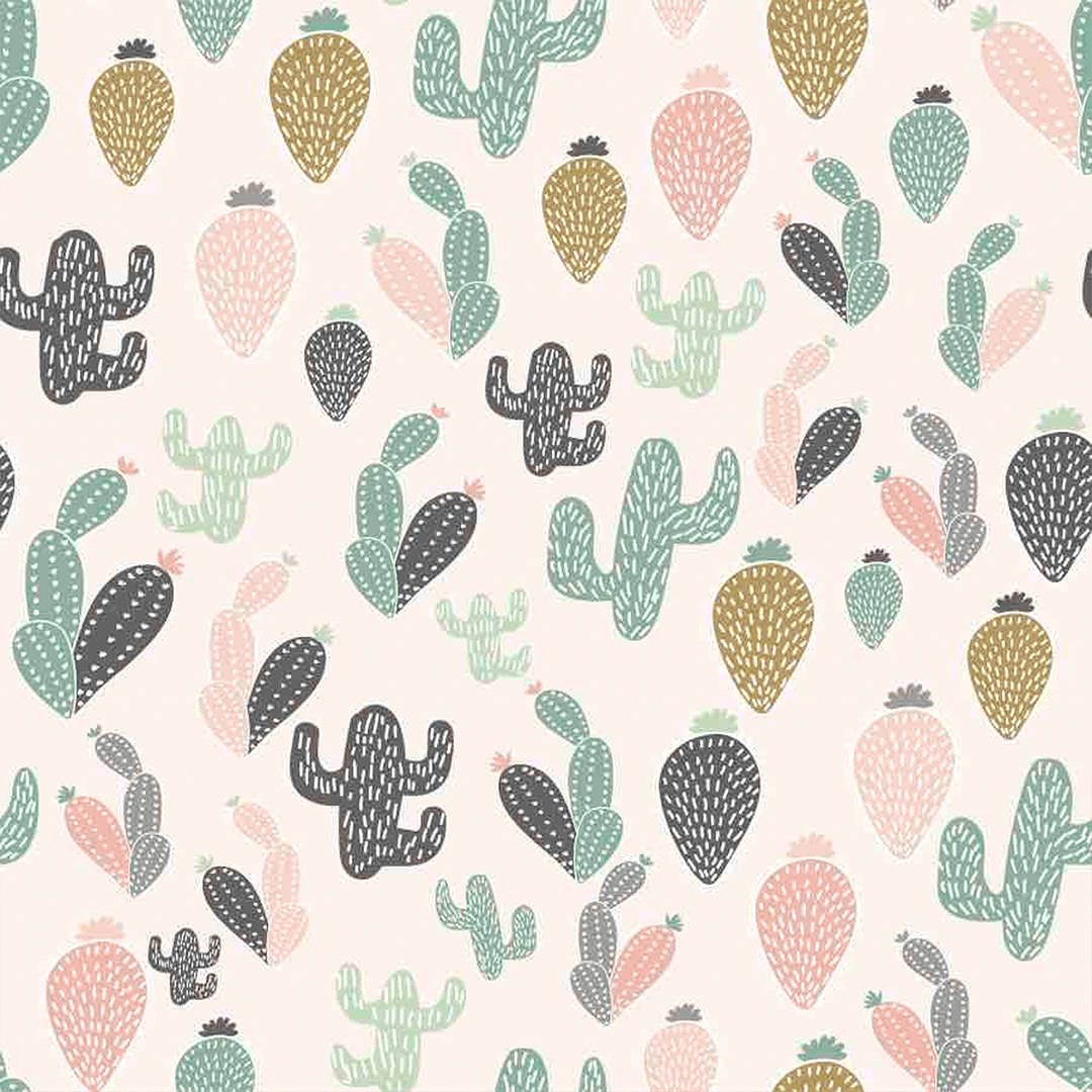 Cactus 1080X1080 Wallpaper and Background Image