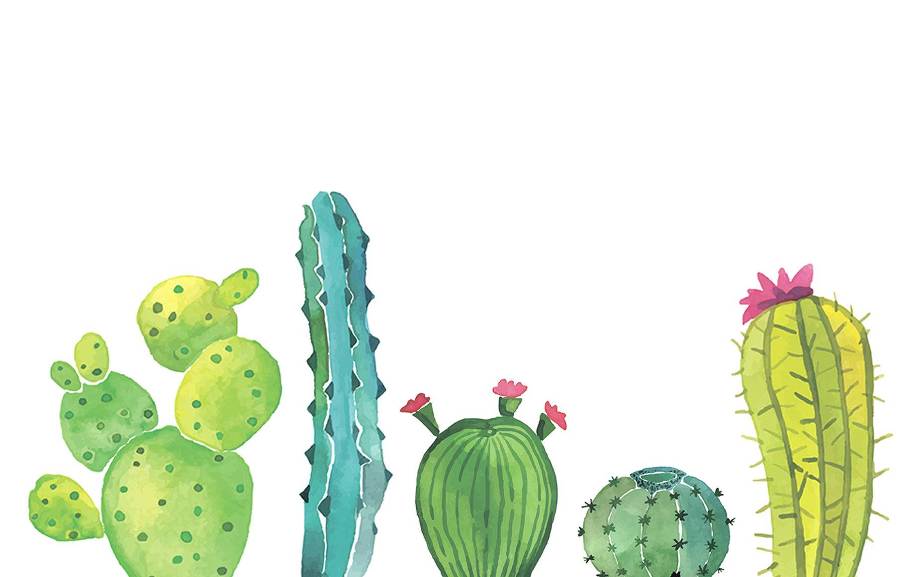 1856X1161 Cactus Wallpaper and Background