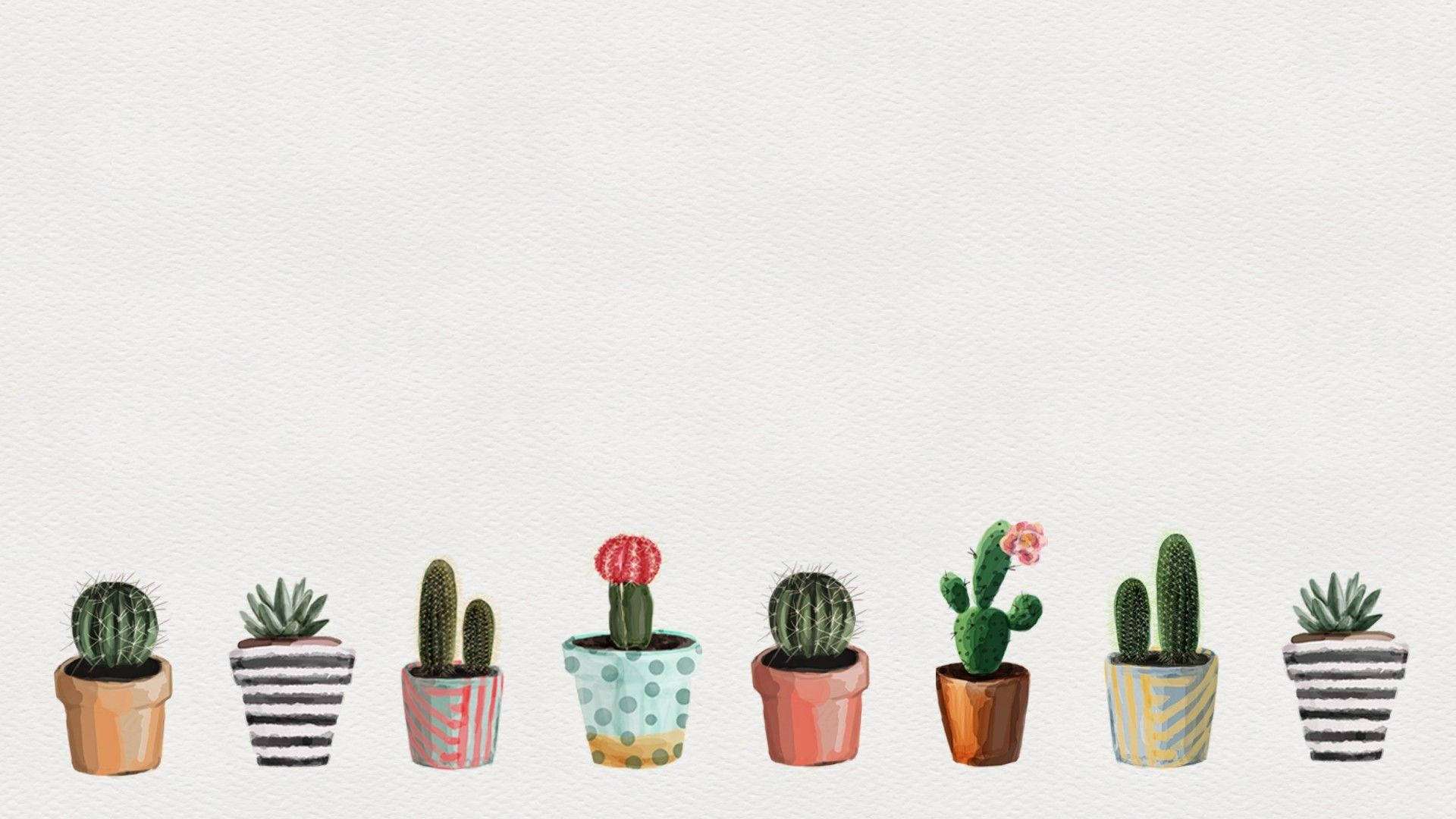 Cactus 1920X1080 Wallpaper and Background Image