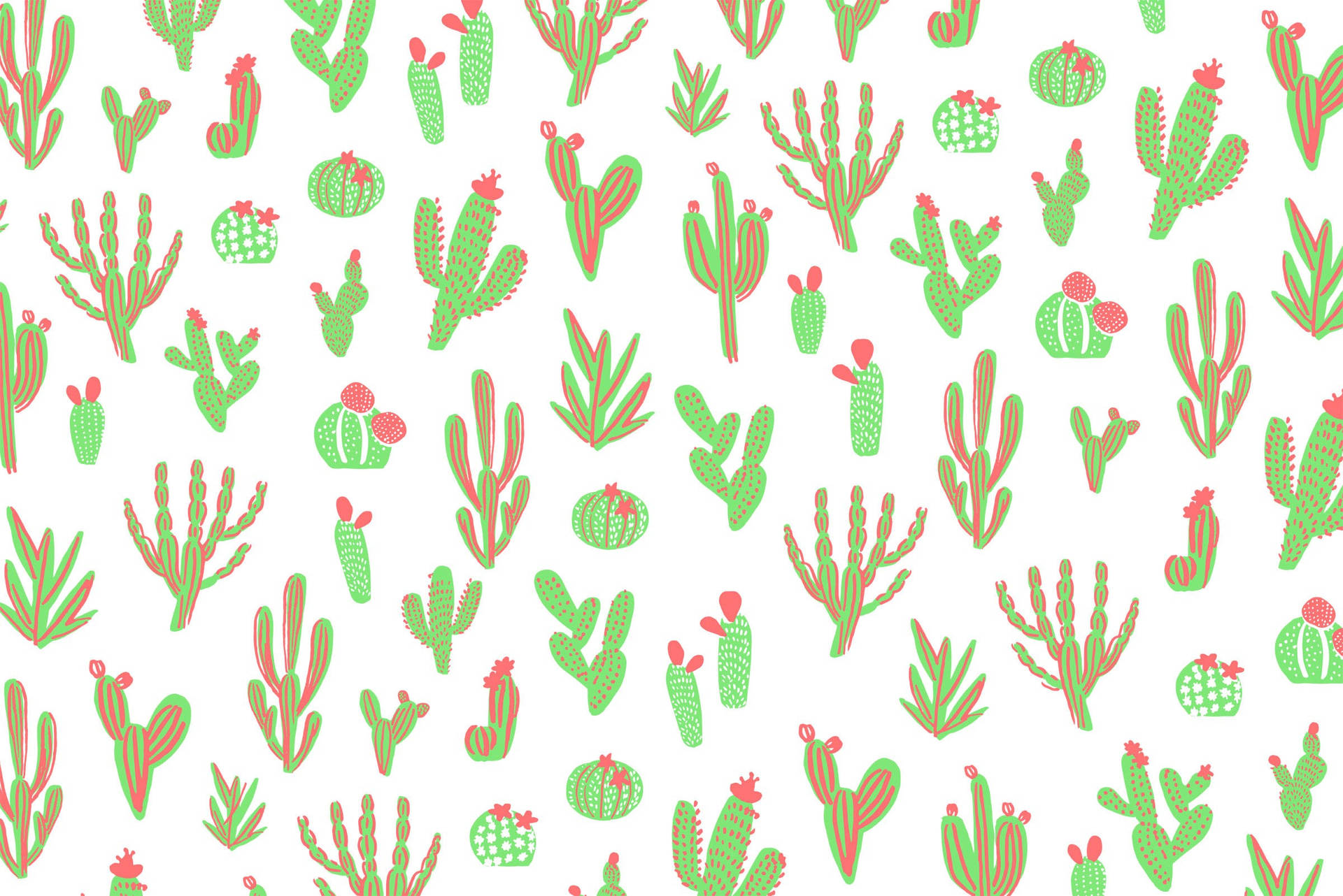 2400X1603 Cactus Wallpaper and Background