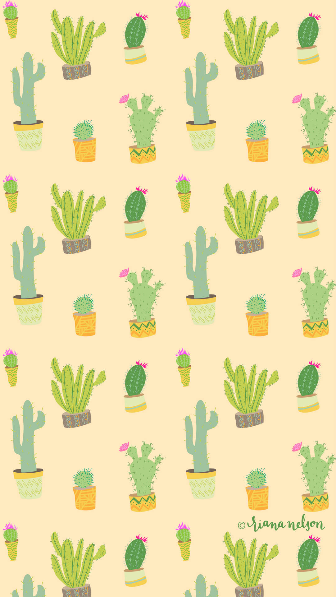 Cactus 2667X4733 Wallpaper and Background Image
