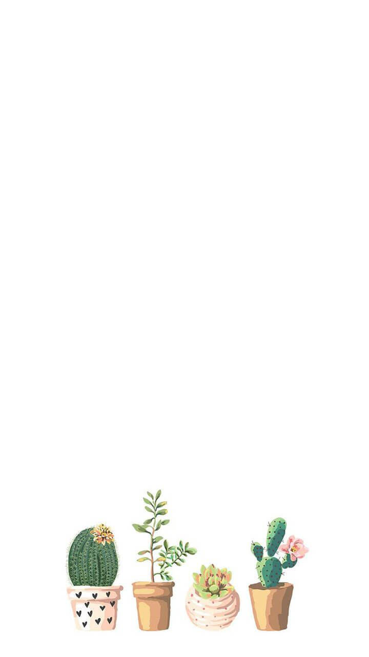 720X1280 Cactus Wallpaper and Background