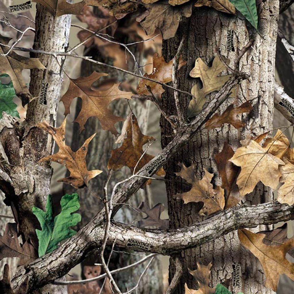 Camo 1024X1024 Wallpaper and Background Image