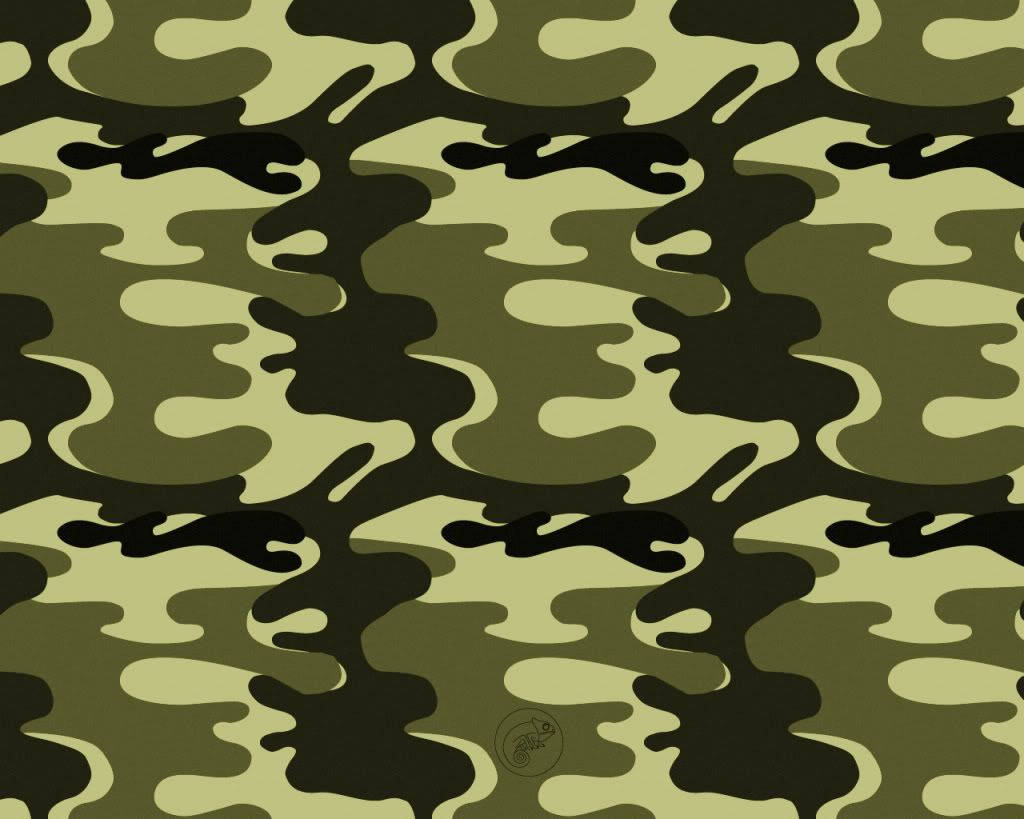 1024X819 Camo Wallpaper and Background