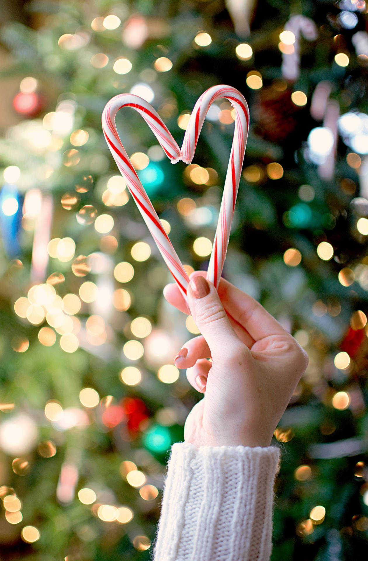 3822X5823 Candy Cane Wallpaper and Background
