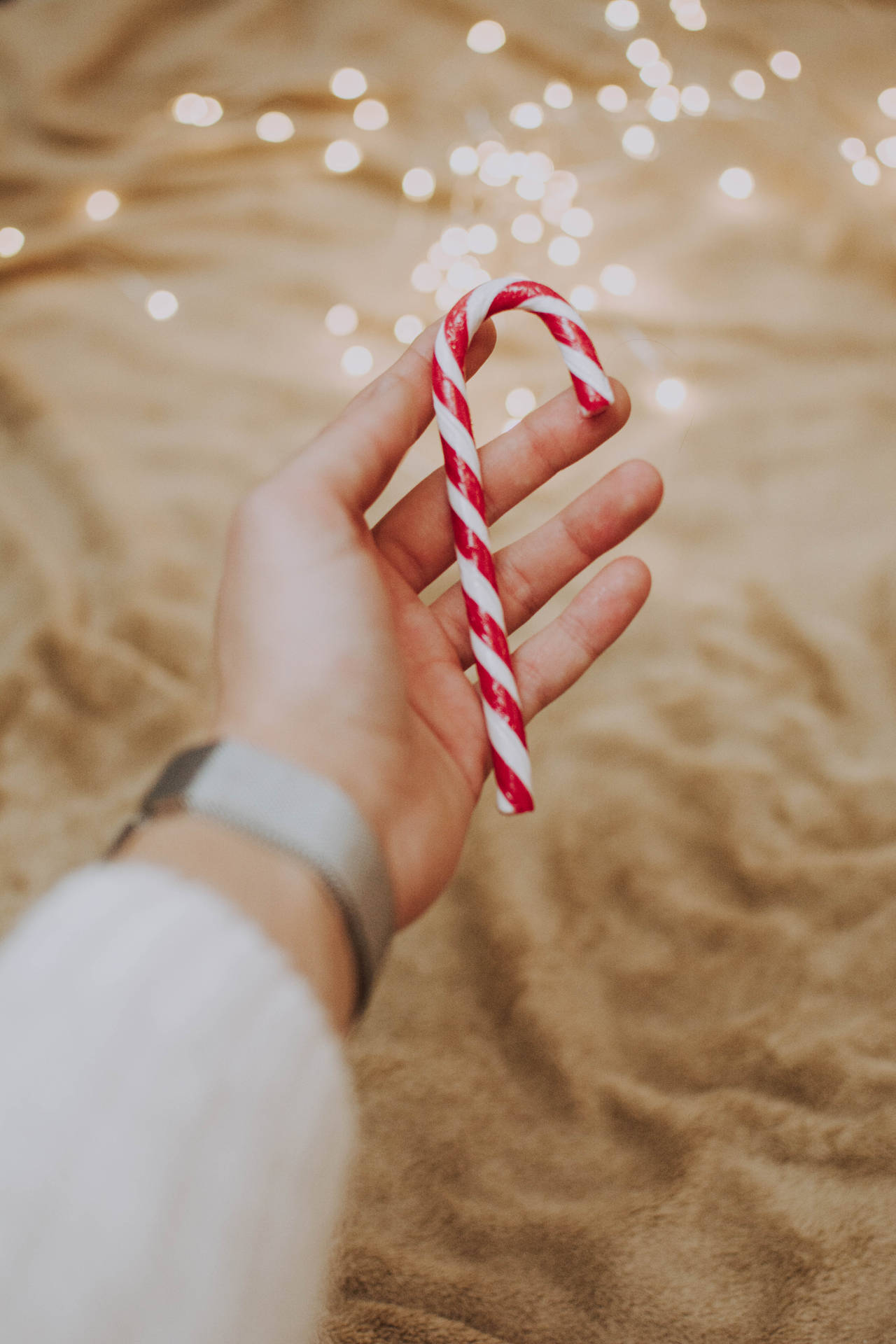 4000X6000 Candy Cane Wallpaper and Background