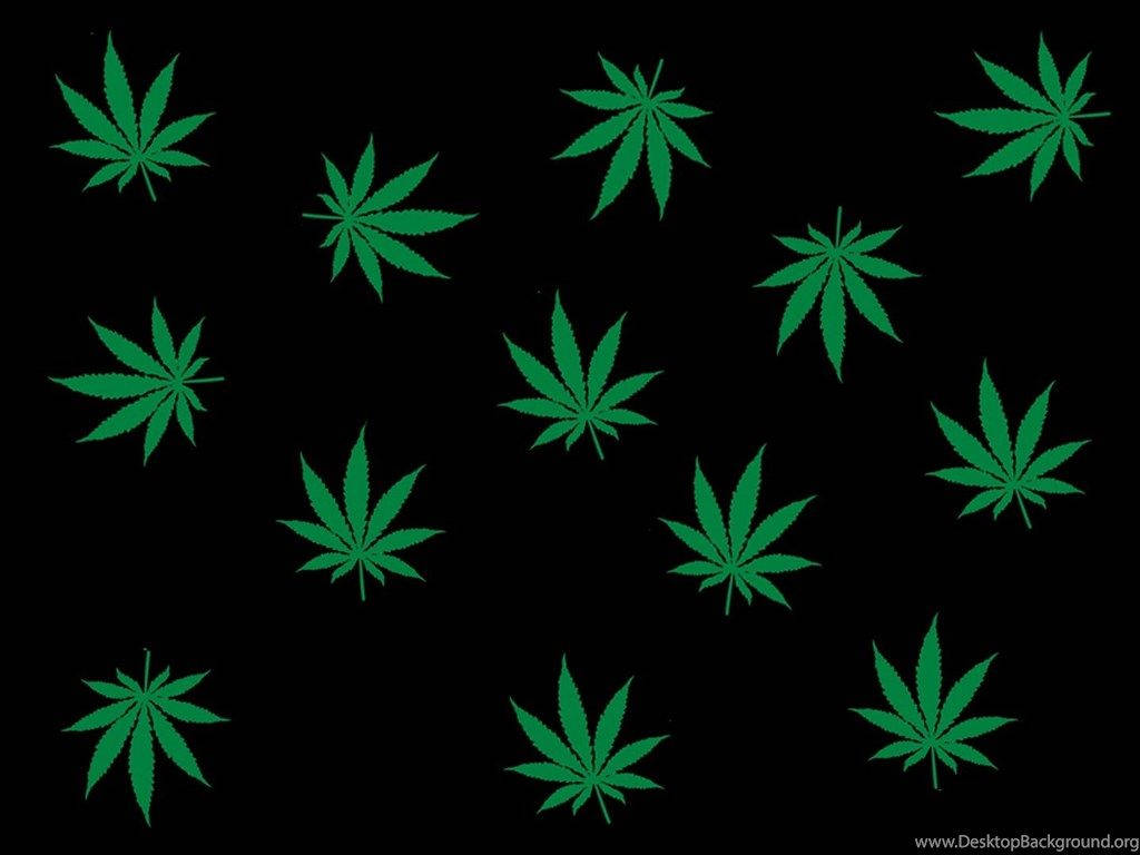 Cannabis 1024X768 Wallpaper and Background Image