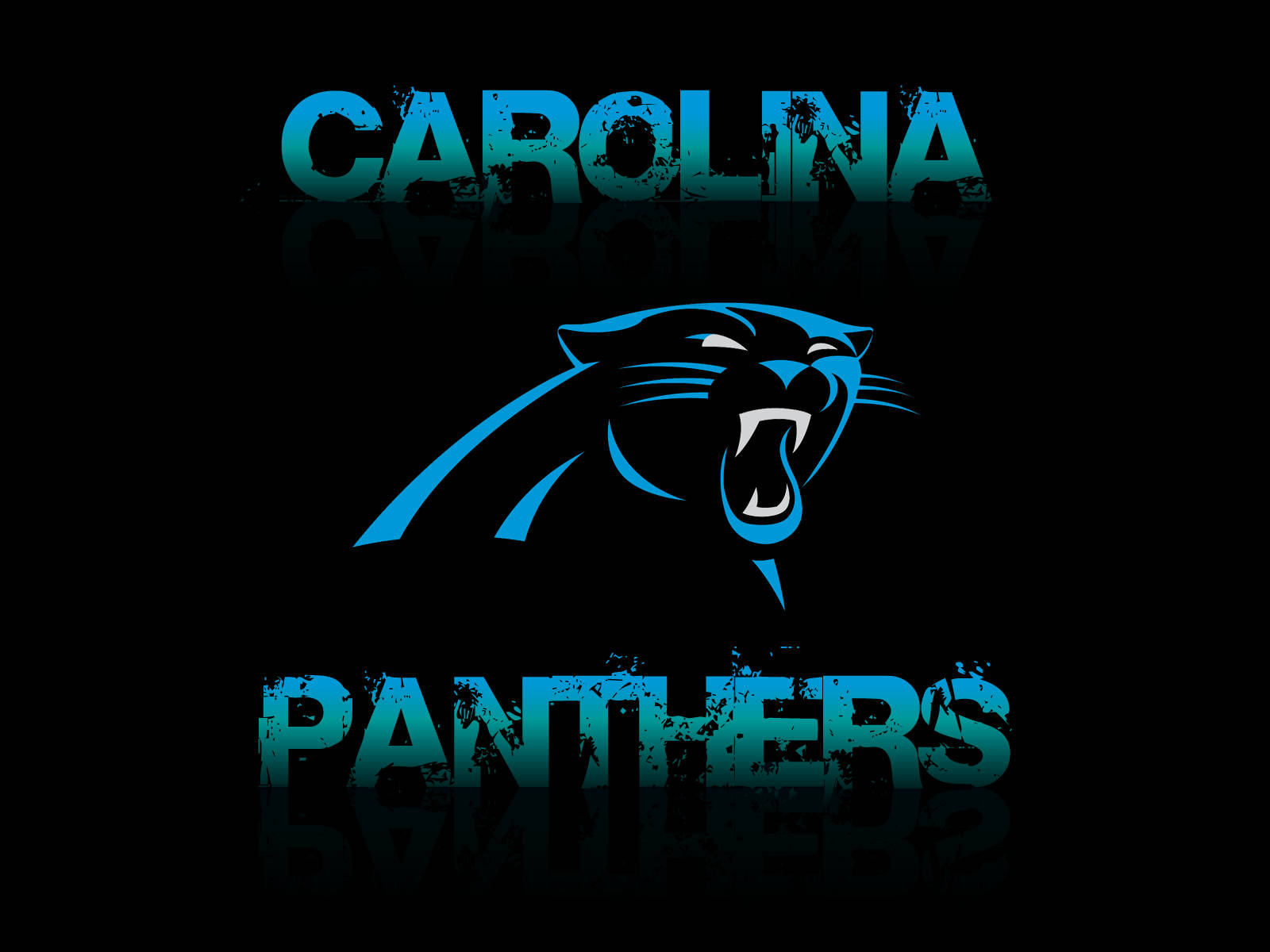 Carolina Panthers 1600X1200 Wallpaper and Background Image