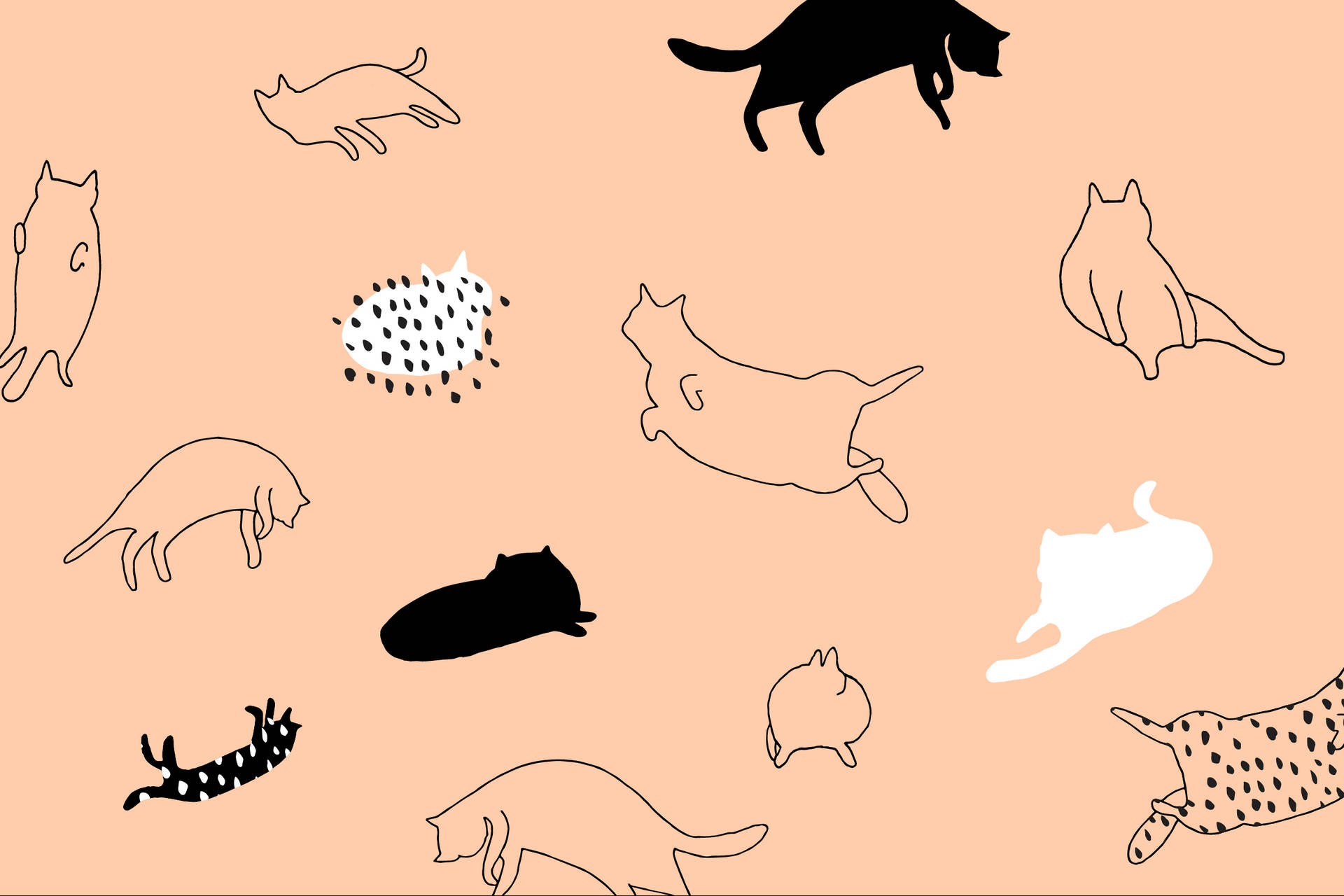 2400X1600 Cartoon Cat Wallpaper and Background